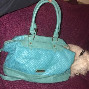 Steve madden purse